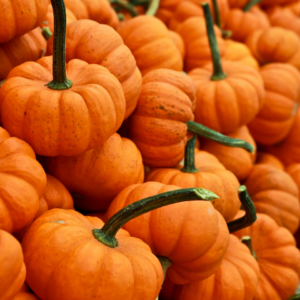 Pumpkin Chicken Rooster Meat