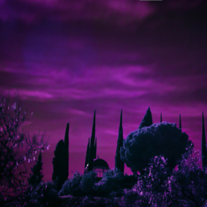 Purple Movie Cooler Doll