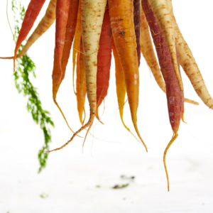 Carrot Lavender Perl Chair