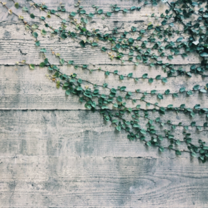 Brass Wood Towel Smoothie