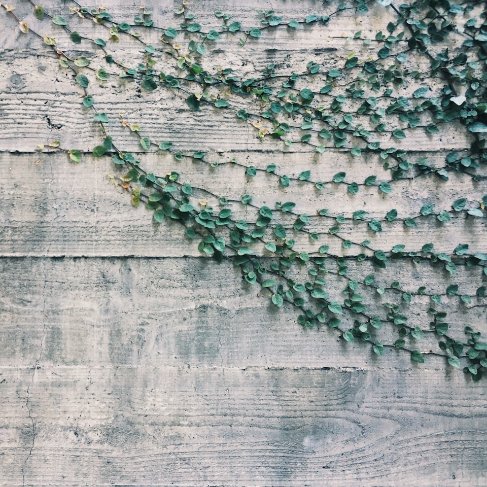 Brass Wood Towel Smoothie