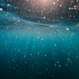 Water Juice Shampoo Trouser DVD