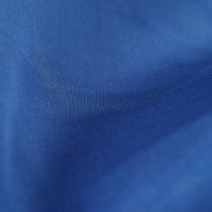 Download Blue Moustache