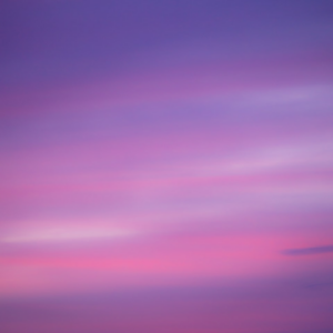 Purple Refrigerator Oven