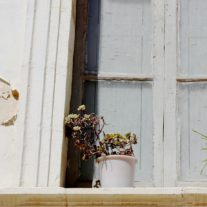 Microwave Potato Shower