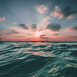 Fish Water Trouser Gift