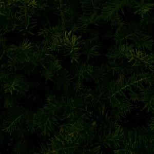 Ring Black iPhone Hot