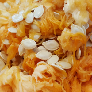 Pumpkin Refrigerator Doll