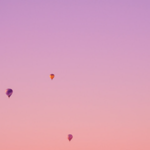 Tomato Purple Album Pumpkin