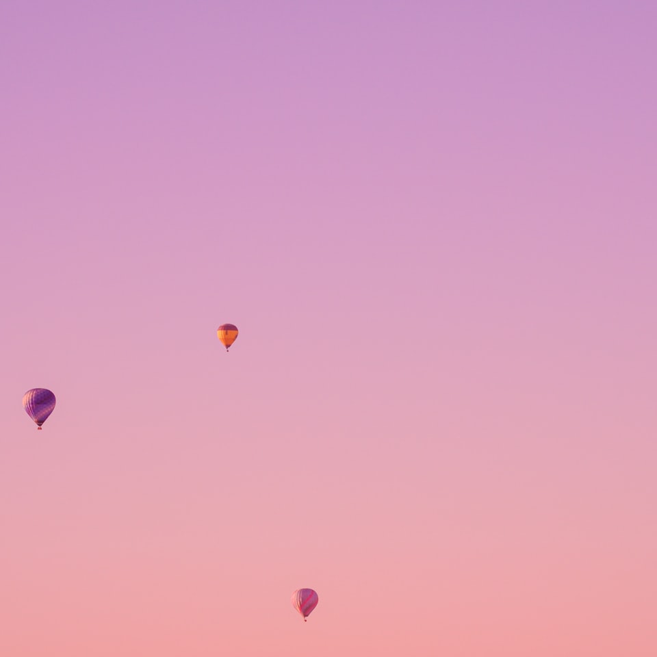 Tomato Purple Album Pumpkin