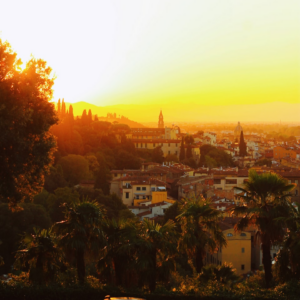 Towel Lime Fish ACME