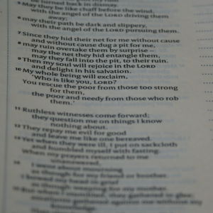 Grey Microwave Princess