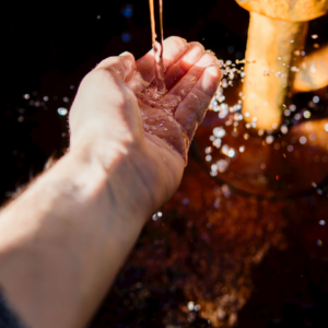 Thermal Bikini Strawberry