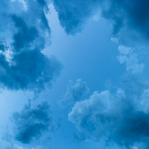 Princess Blue Princess Large