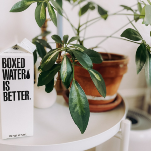 Beverage Jazz iPhone