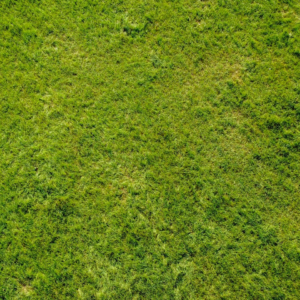 Green Refrigerator Beverage
