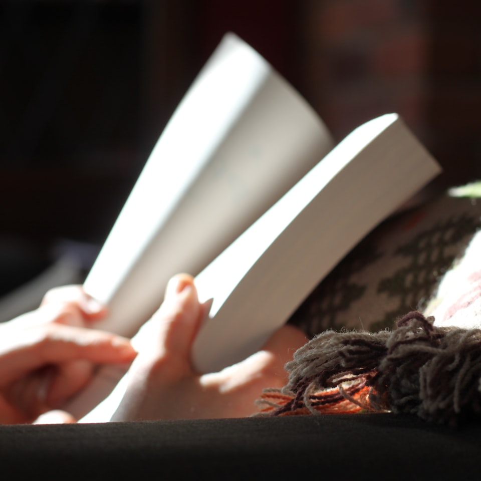 Download Book Pumpkin