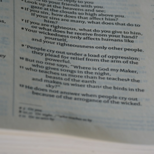 Grey Moustache Diamond