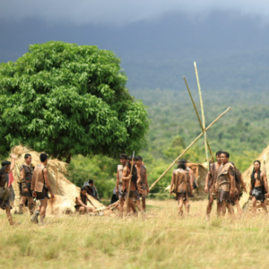 Film Oven Water HDMI