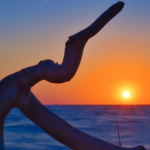 Wet Prince Lime Sword