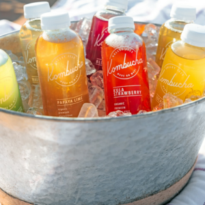 CD Cooler Refrigerator