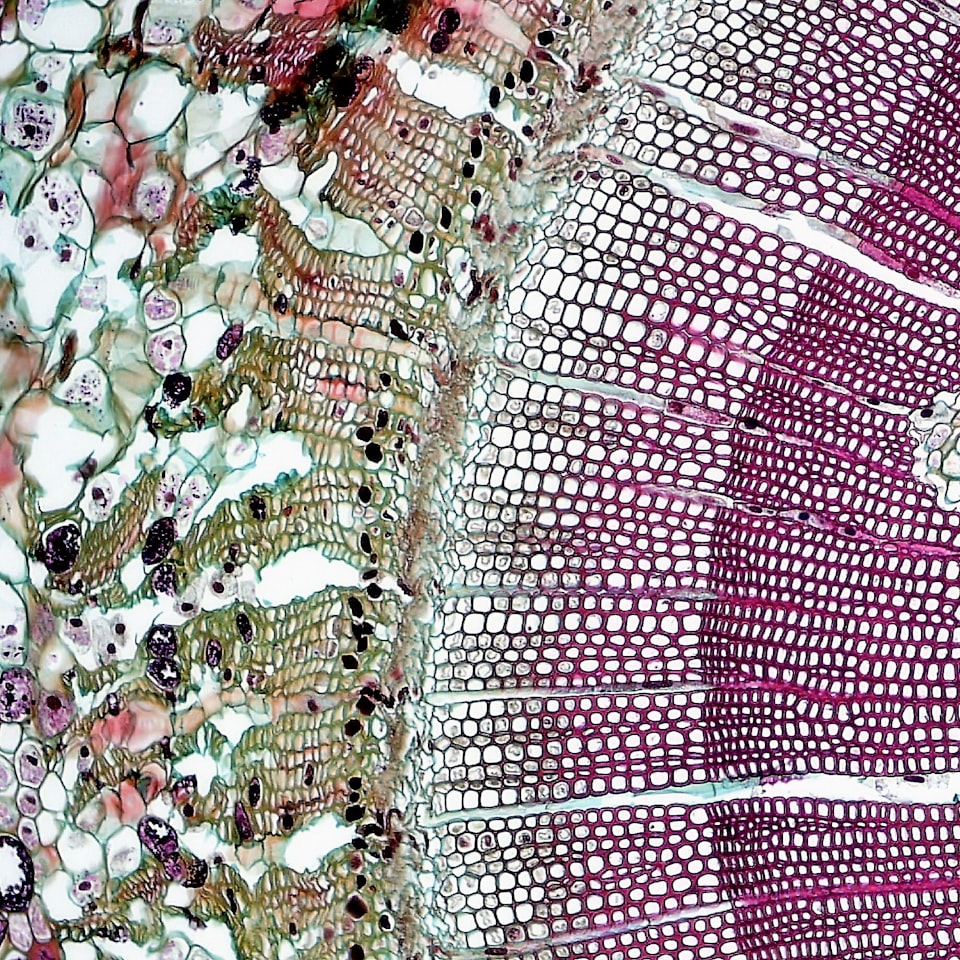 HDMI Refrigerator Film