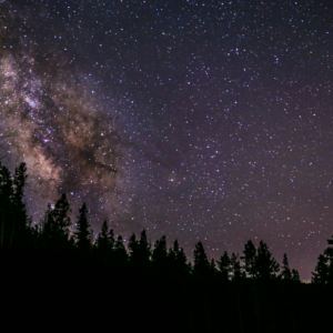 Galaxy Violet Moustache