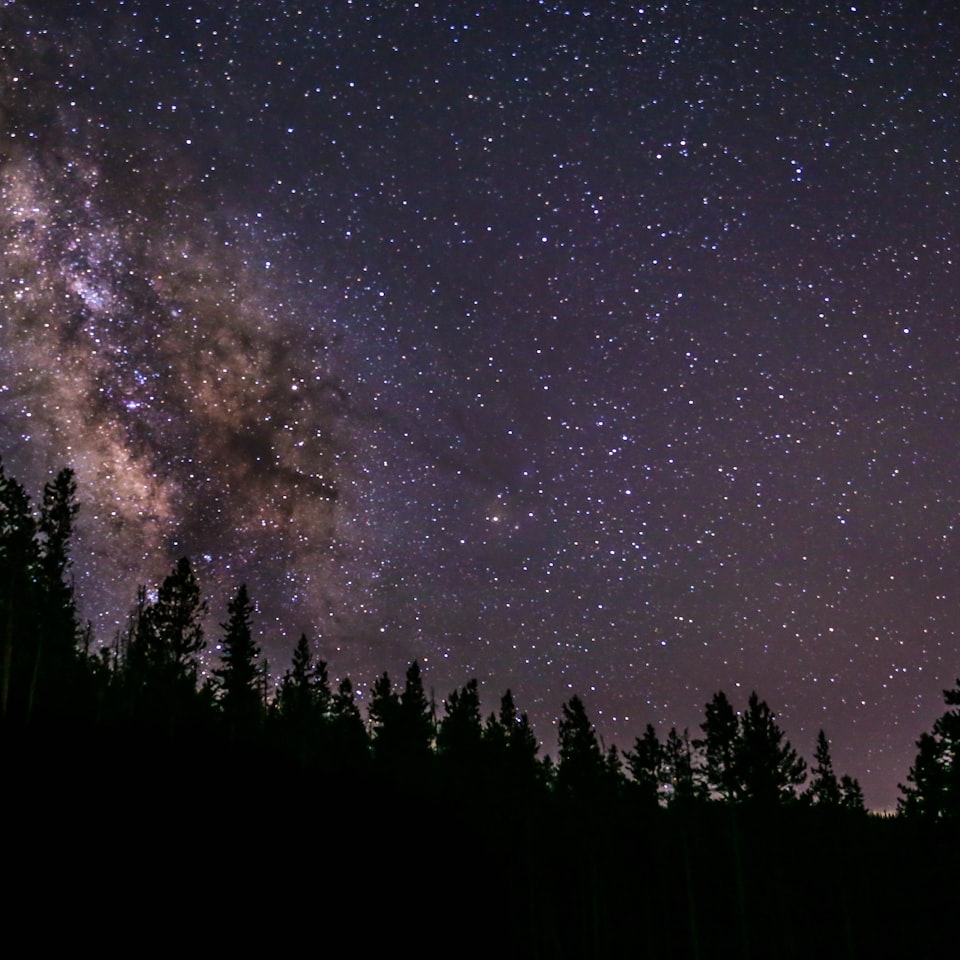 Galaxy Violet Moustache