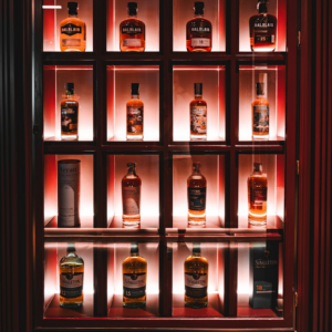 Refrigerator Jazz Egg