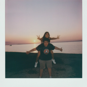 Strawberry Table Microwave