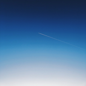 Blue Internet Carrot