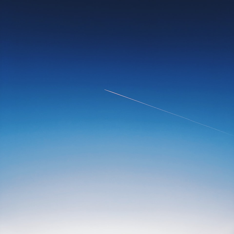 Blue Internet Carrot