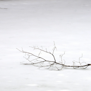 Cola White Brown Cola