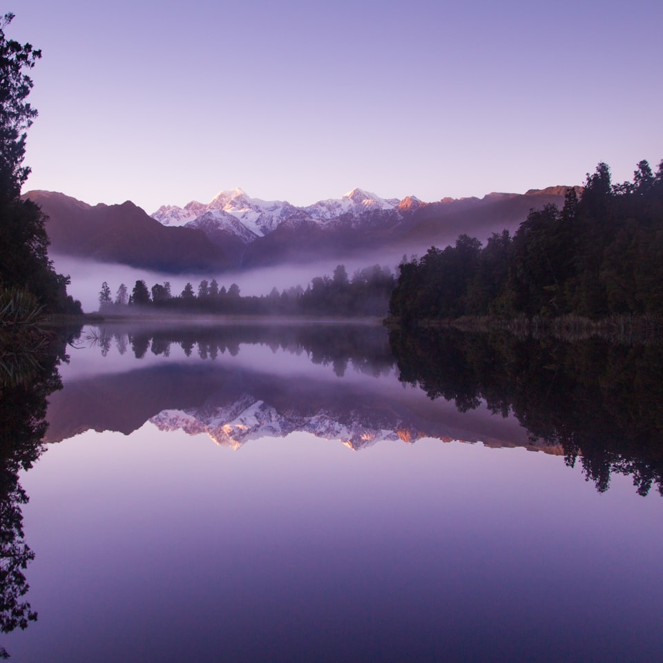 Purple Lotion Motorola