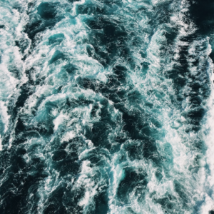 Water Soy Strawberry Ring