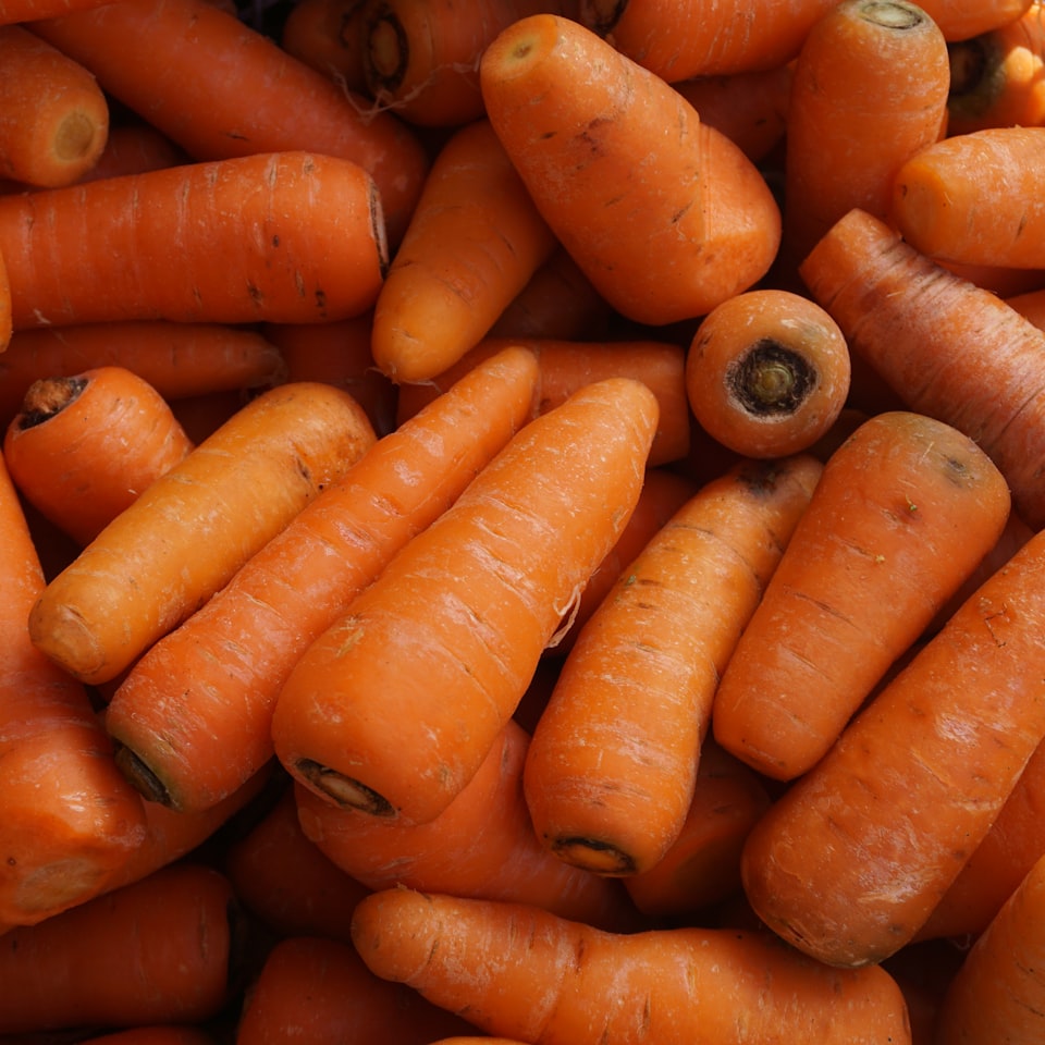 Carrot Internet Lotion