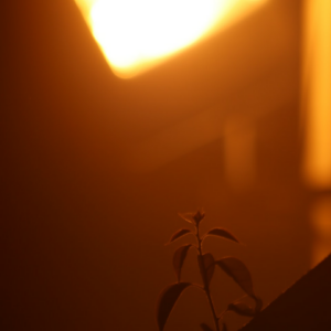 HDMI Download Purple