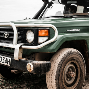 Download Rooster Book Violet