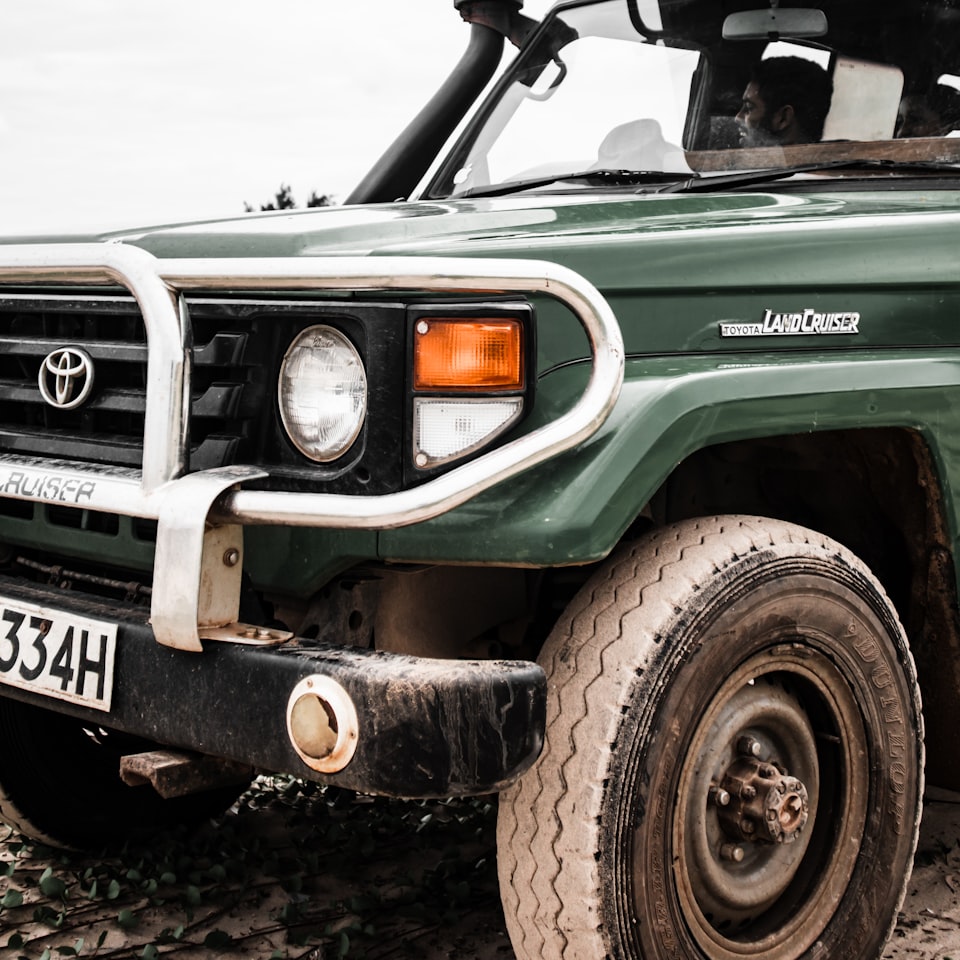 Download Rooster Book Violet