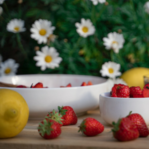 Strawberry Toy Cooler