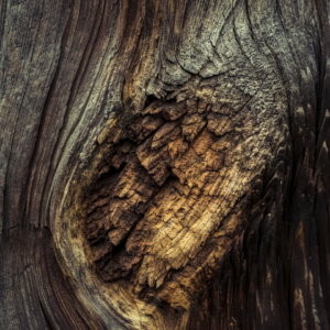 Heater Rooster Gun Strawberry