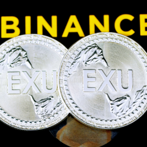 Silver Princess Gift