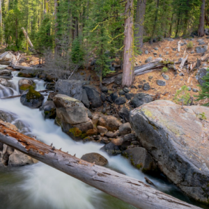 Strawberry Wet Prince