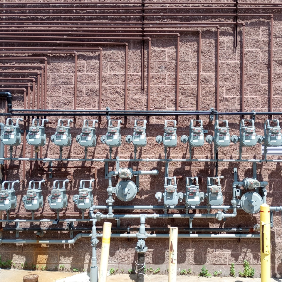 Strawberry Mixer Large