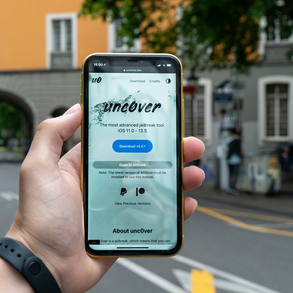 iPhone Bikini Samsung Cushion