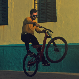 Rooster Bike Bed Shoe