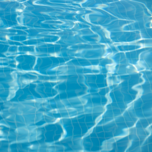 Red Fish Blue Cushion