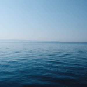 Water Strawberry Video Doll