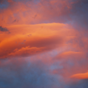 Violet Lotion Prince