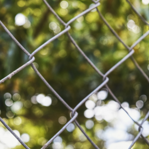 Diamond Jazz Microwave